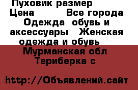 Пуховик размер 42-44 › Цена ­ 750 - Все города Одежда, обувь и аксессуары » Женская одежда и обувь   . Мурманская обл.,Териберка с.